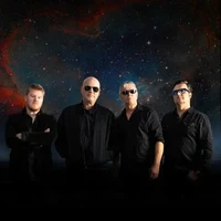 Exclusively The Stranglers