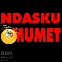 _Wawa Radio 101.2 FM live radio station logo