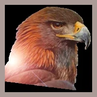 Rádio Olavo de Carvalho